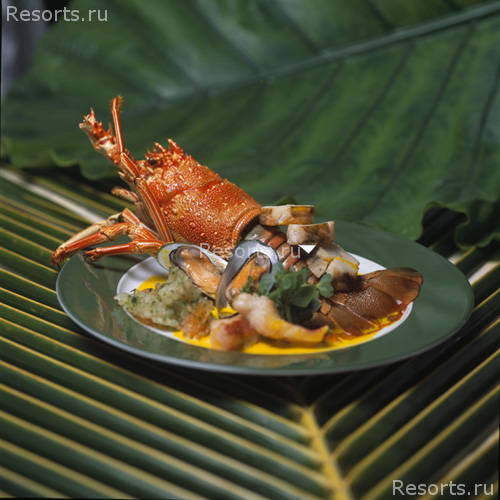 Alphonse Island Resort Deluxe 9